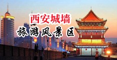 日本女厕所操骚逼中国陕西-西安城墙旅游风景区